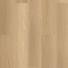Picture of Shaw Floors - Endura Plus Castaway