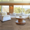 Picture of Shaw Floors - Endura Plus Wild Dunes