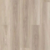 Picture of Shaw Floors - Endura Plus Lighthouse