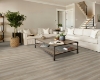 Picture of Shaw Floors - Endura Plus Lighthouse