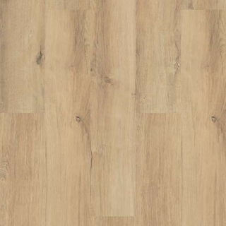 Picture of Shaw Floors - Endura Plus Marina