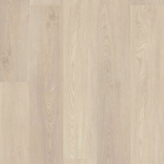 Picture of Shaw Floors - Endura Plus Silver Dollar
