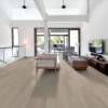 Picture of Shaw Floors - Endura Plus Silver Dollar