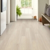 Picture of Shaw Floors - Endura Plus Silver Dollar