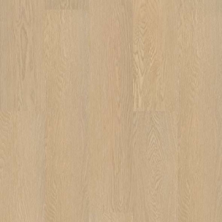 Picture of Shaw Floors - Endura Plus Oceanfront