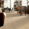 Picture of Shaw Floors - Endura Plus Oceanfront