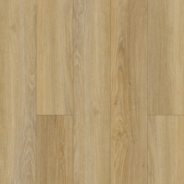 Picture of Mohawk - SolidTech Essentials Discovery Ridge Coffee House Tan
