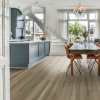 Picture of Mohawk - SolidTech Plus Poppy Reserve Wright