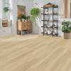 Picture of Mohawk - SolidTech Select Covington Falls Walker Lane