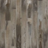 Picture of Mohawk - SolidTech Select Explorers Cove Raccoon