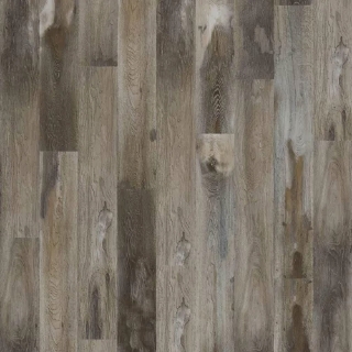 Picture of Mohawk - SolidTech Select Explorers Cove Raccoon