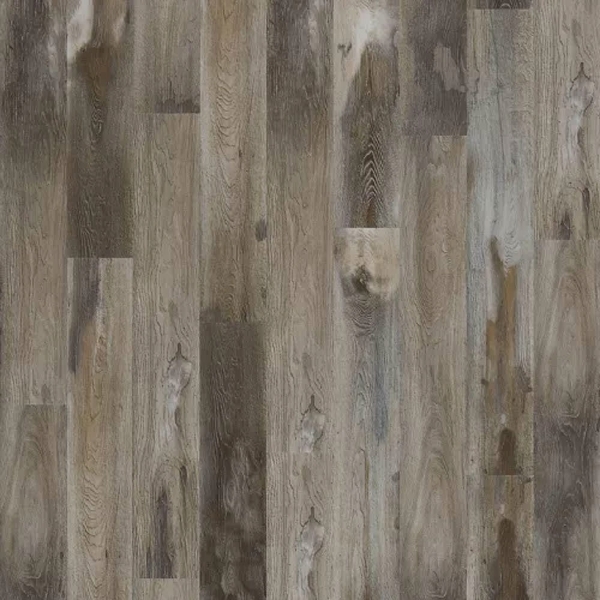 Picture of Mohawk - SolidTech Select Explorers Cove Raccoon