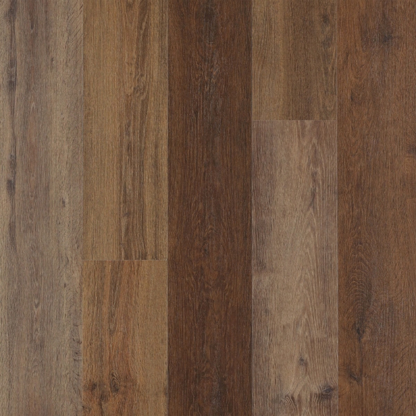 Picture of Mohawk - SolidTech Select Explorers Cove Shadow Woodlands