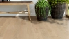 Picture of Mercier - Pro Series Engineered 5 1/2 Red Oak Keystone Satin