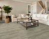 Picture of Shaw Floors - Distinction Plus French Oak
