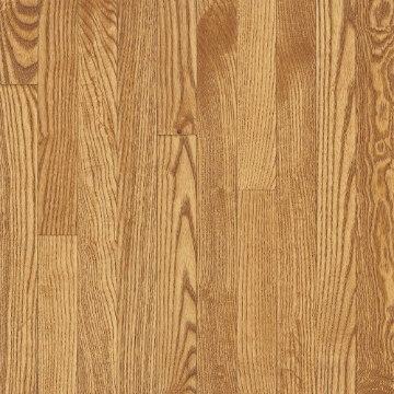Picture of Bruce - Dundee Strip 2.25 Sea Shell