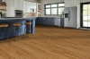 Picture of Bruce - Dundee Strip 2.25 Spice