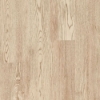 Picture of Armstrong - American Personality Pro Parchment