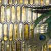 Picture of SOHO Studio Corp - Artemis Amber