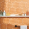 Picture of SOHO Studio Corp - Aries Orange