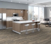 Picture of Philadelphia Commercial by Shaw - G Force 6 Brisbane