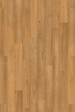 Picture of InHaus - Gallery Langara