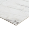Picture of SOHO Studio Corp - Lithe 24 x 48 Polished Carpaccio