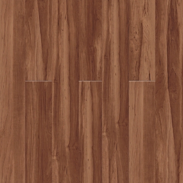 Picture of Pentz - Boulevard Sugar Maple