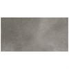 Picture of SOHO Studio Corp - Ages 24 x 48 Fossil