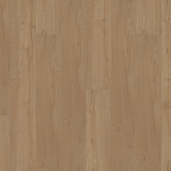 Picture of Pentz - Parkway Straw