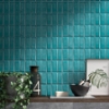 Picture of SOHO Studio Corp - Retouch Steps Teal