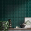 Picture of SOHO Studio Corp - Retouch Steps Emerald Green
