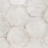 Picture of SOHO Studio Corp - Angela Harris San Francisco Hexagon White
