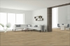 Picture of Engineered Floors - Dreamweaver - PureGrain Endure Timeless Beauty Thorndale