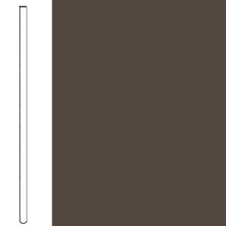 Picture of Flexco - Base 2000 Wall Base 2 1/2 Straight Bark