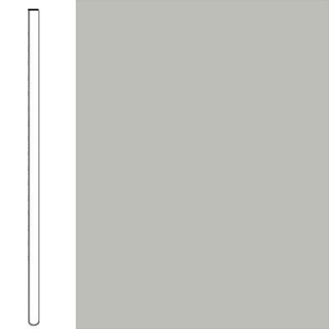 Picture of Flexco - Base 2000 Wall Base 2 1/2 Straight Fjord