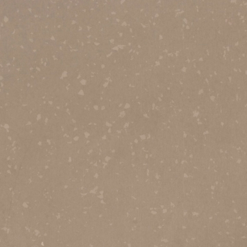 Picture of Flexco - Geodesy 36 x 36 Earth