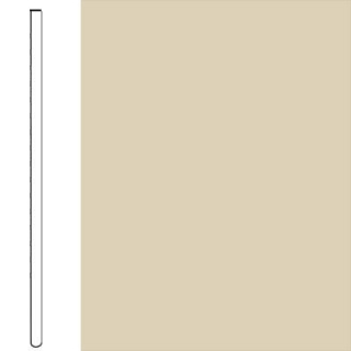 Picture of Flexco - Wallflowers Wall Base 4 Straight Neutrail