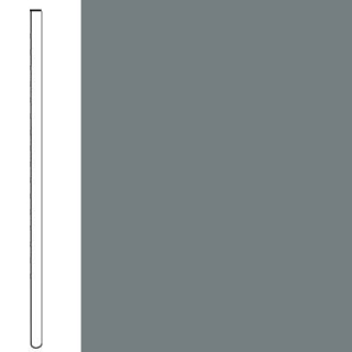 Picture of Flexco - Wallflowers Wall Base 6 Straight Medium Gray