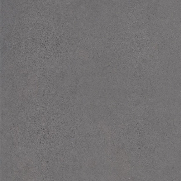 Picture of Chesapeake Flooring - Infield 2.0 12 x 12 Titanium Matte