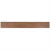 Picture of SOHO Studio Corp - Stacy Garcia Artwood 6 x 48 Bear