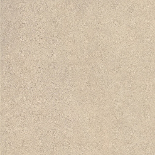 Picture of Chesapeake Flooring - Infield 2.0 24 x 24 Sand Matte