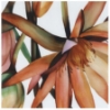 Picture of SOHO Studio Corp - Angela Harris Florista Tikida Decor Mural