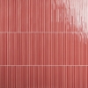 Picture of SOHO Studio Corp - Buenos Wild Coralito