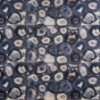 Picture of SOHO Studio Corp - Daphne Riviera Blue