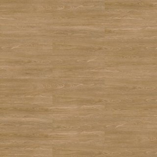 Picture of Shaw Floors - Terrain II 30 Mil Trail