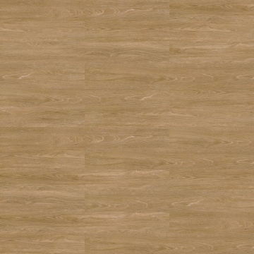 Picture of Shaw Floors - Terrain II 30 Mil Trail