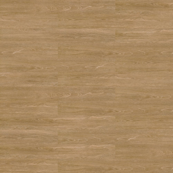 Picture of Shaw Floors - Terrain II 30 Mil Trail