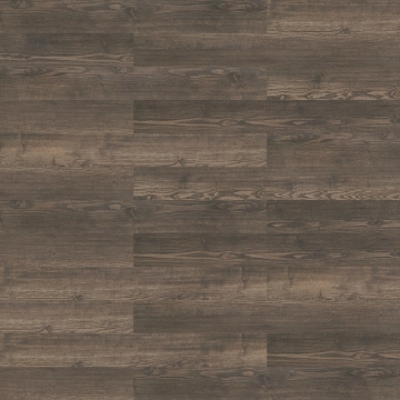 Picture of Shaw Floors - Terrain II 30 Mil Thicket