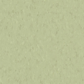 Picture of Tarkett - Melodia 12 x 24 Green Olive